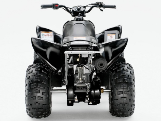Фото квадроцикла Honda TRX90X